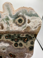 One of a Kind Bunny Shaped 8th Vein Ocean Jasper Slab #2