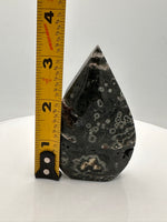 7th Vein Ocean Jasper Arrow Shape Tower #7
