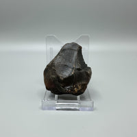 Raw Amber Specimen #7