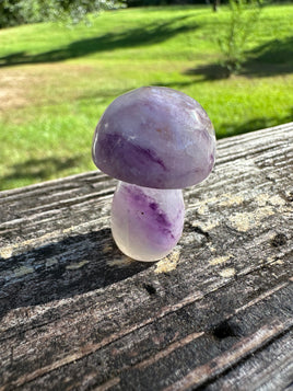 Colorful Fluorite Mushroom Carving #11