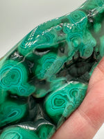 Polished Malachite Freeform, Zaire, Africa #6