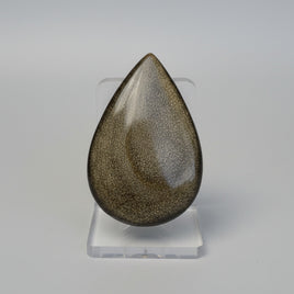 Natural Golden Sheen Obsidian Pearshape Large Cabochon #1