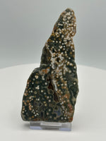 8th Vein Ocean Jasper Slab #13