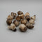 Natural Panda Agate 1lb Bag #2