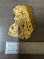 8th Vein Ocean Jasper Slab #79