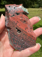 8th Vein Ocean Jasper Slab #64