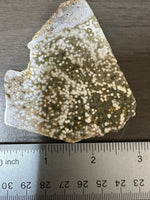 8th Vein Ocean Jasper Slab #77