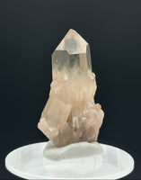 Kundalini Natural Citrine Crystal, D R Congo, Lightbrary #10 with Rainbow