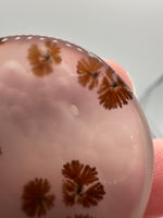 Scenic Dendritic Agate Cabochon #6