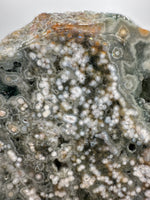 8th Vein Ocean Jasper Slab #18