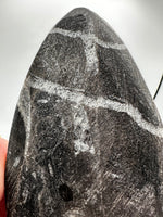 Natural Orthoceras Fossil Specimen #14