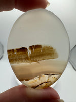 Designer Dendritic Agate Cabochon #4