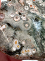8th Vein Ocean Jasper Slab #21