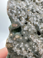 8th Vein Ocean Jasper Slab #16