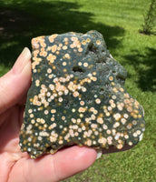 8th Vein Ocean Jasper Slab #50