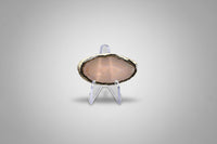 Agate Slice #31