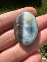 Owyhee Blue Opal Cabochon #18