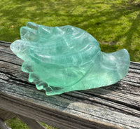 Fluorite Dragon Head Carving #8