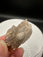 Natural Kundalini Citrine Lightbrary Crystal #12