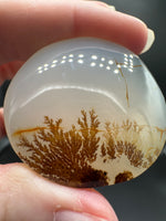 Designer Dendritic Agate Cabochon #2