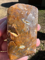 Savannah River Agate Specimen 1d