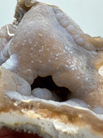 Withlacoochee River Agatized Coral #3
