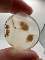 Scenic Dendritic Agate Cabochon #7