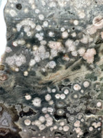 8th Vein Ocean Jasper Slab #21