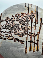 Natural Picture Jasper Slab with Stand #12
