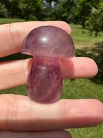 Colorful Fluorite Mushroom Carving #1