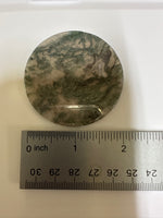 Moss Agate Polished Round Slice #1