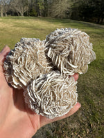 Selenite "Desert Rose," Samalayuka Desert, Chihuahua, Mexico #2