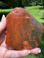8th Vein Ocean Jasper Slab #86