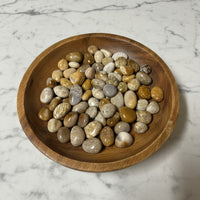 Fossil Coral Tumbles