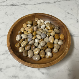 Fossil Coral Tumbles