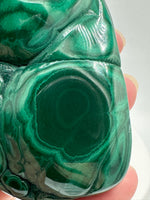 Polished Malachite Freeform #2 Zaire, Africa