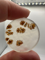 Scenic Dendritic Agate Cabochon #2