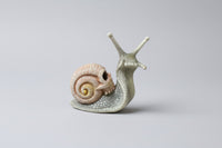 Grey & Pink Snail with Skull