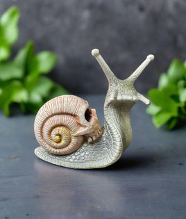 Grey & Pink Snail with Skull