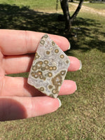 Ocean Jasper Free-form #9