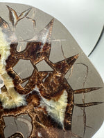 Septarian Nodule, Calcite, Muddy Creek, Orderville, Kane Co. UT UV Reactive #1