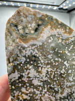 8th Vein Ocean Jasper Slab #8