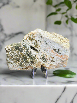 8th Vein Ocean Jasper Slab #129