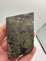 Free Form Pyrite Flowers Symbiosis Mixed Agate Slab #4