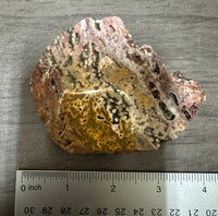 8th Vein Ocean Jasper Slab #40