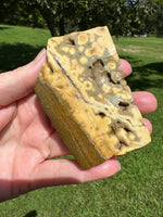 8th Vein Ocean Jasper Slab #111