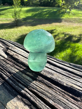 Colorful Fluorite Mushroom Carving #12