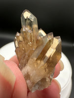 Natural Kundalini Citrine Lightbrary Crystal #13