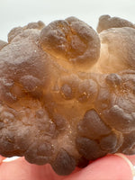 Panda Agate aka Truffle Chalcedony #3