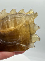 Fluorite Dragon Head Carving #20